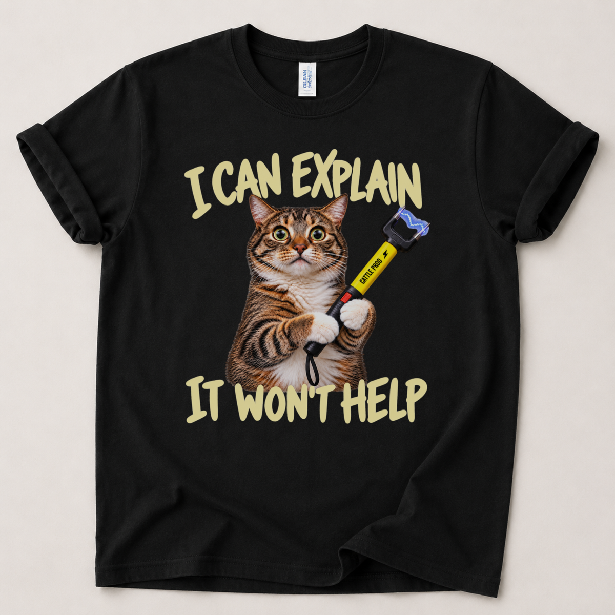 I can explain it won't help T-Shirt