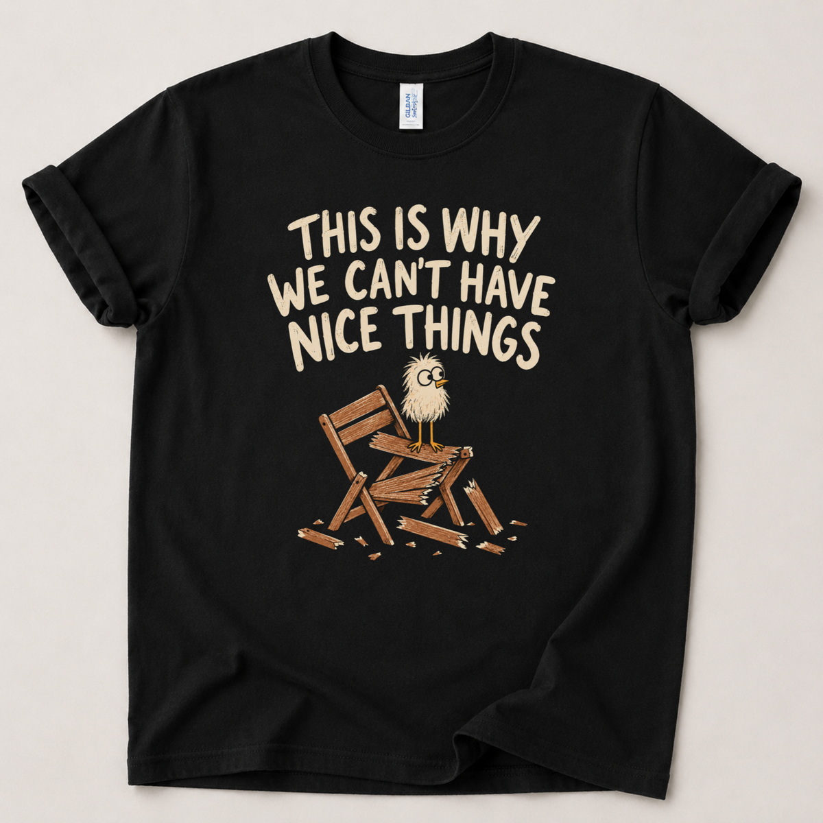 Can't have nice things T-Shirt