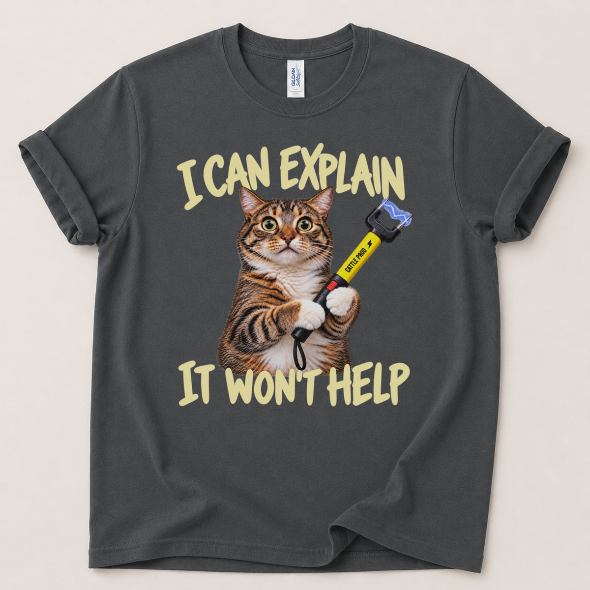 I can explain it won't help T-Shirt