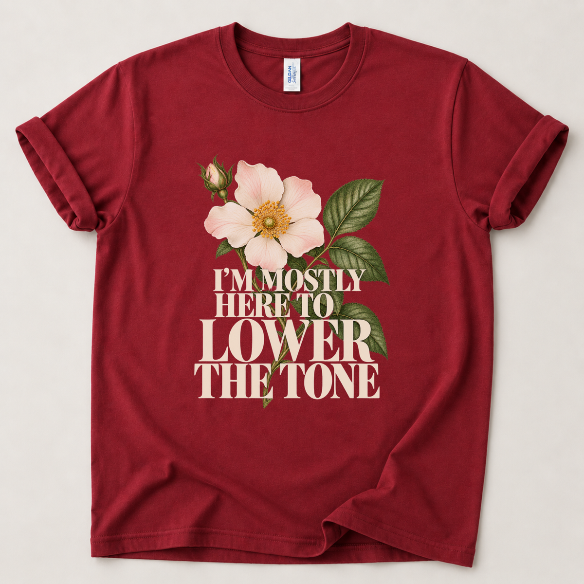 I'm mostly here to lower the tone T-Shirt