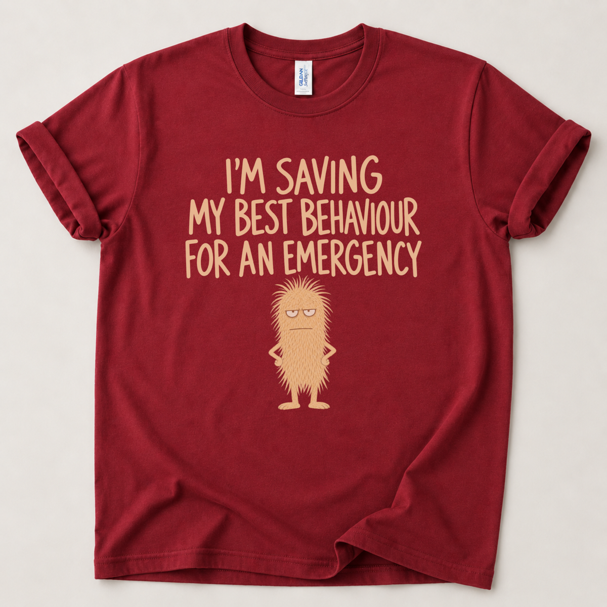 I'm saving my best behaviour T-Shirt