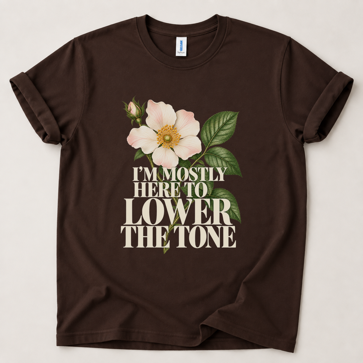 I'm mostly here to lower the tone T-Shirt