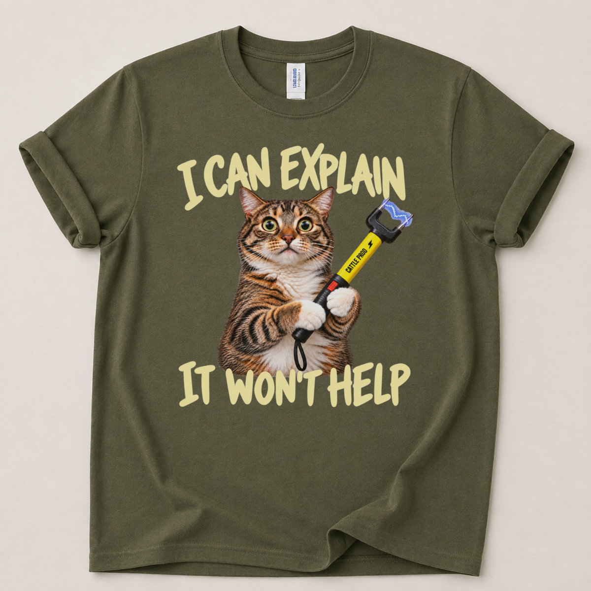 I can explain it won't help T-Shirt
