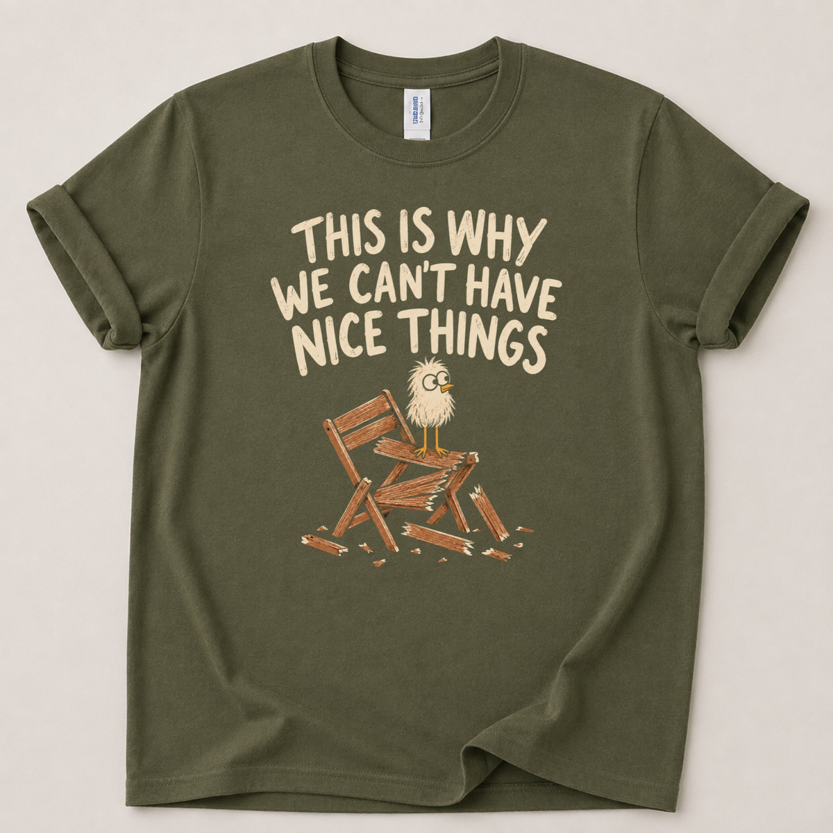 Can't have nice things T-Shirt