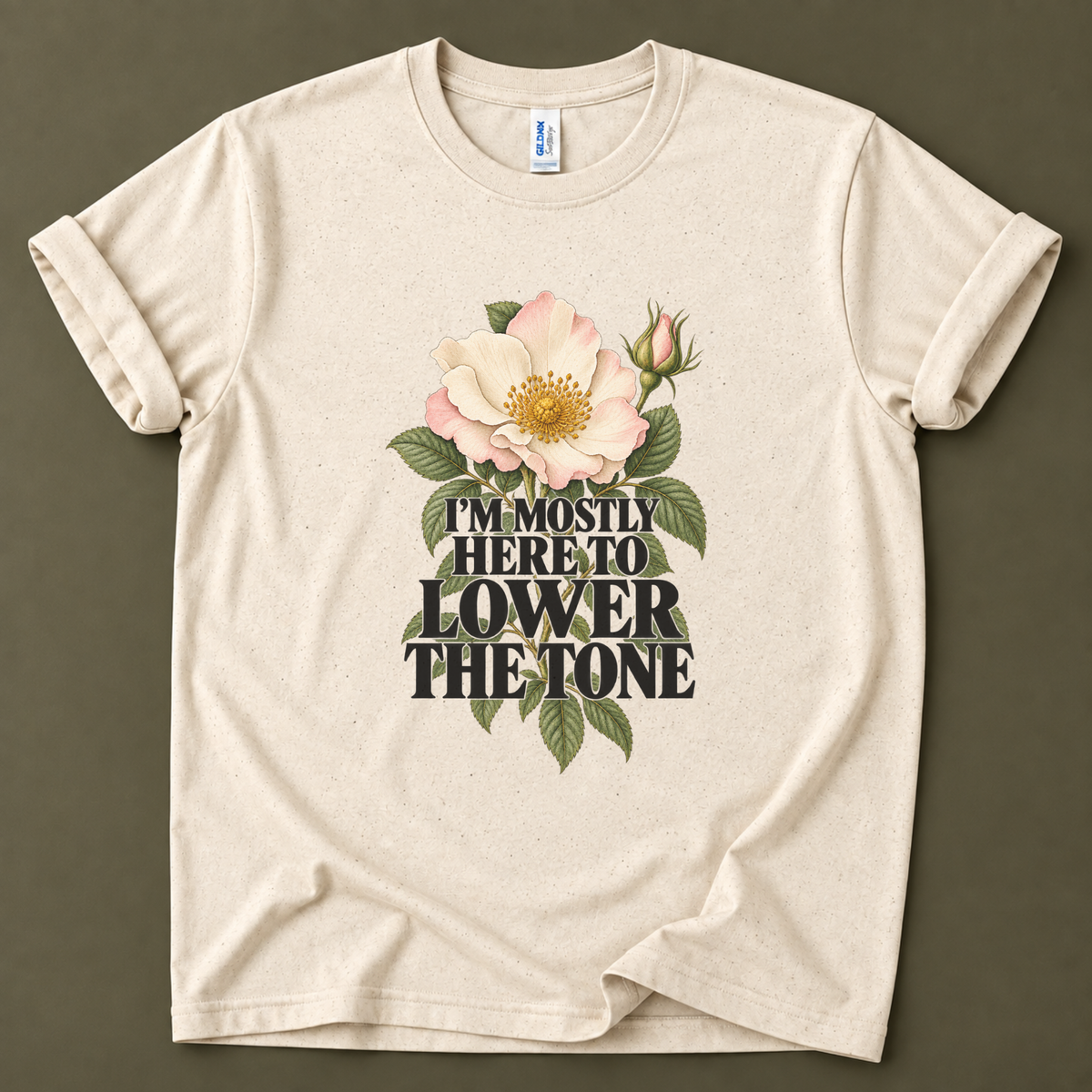 I'm mostly here to lower the tone T-Shirt