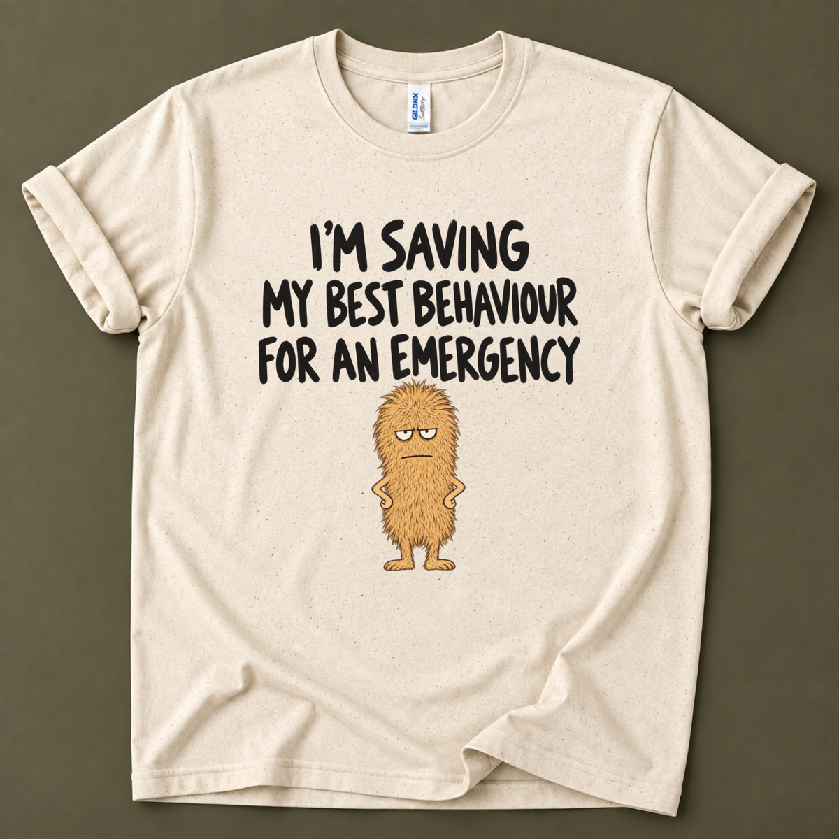 I'm saving my best behaviour T-Shirt