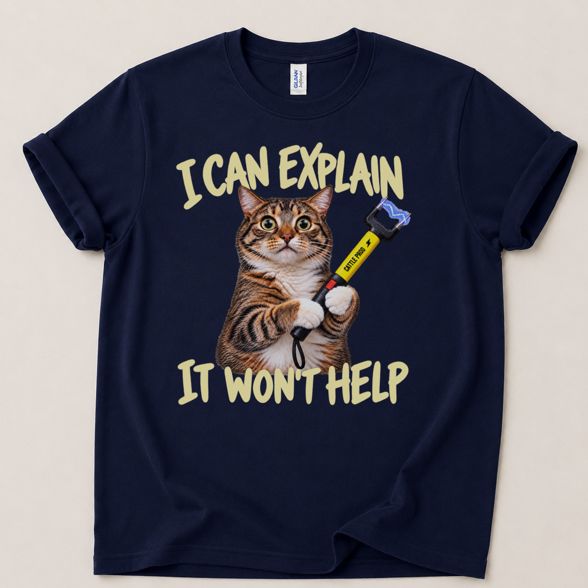 I can explain it won't help T-Shirt