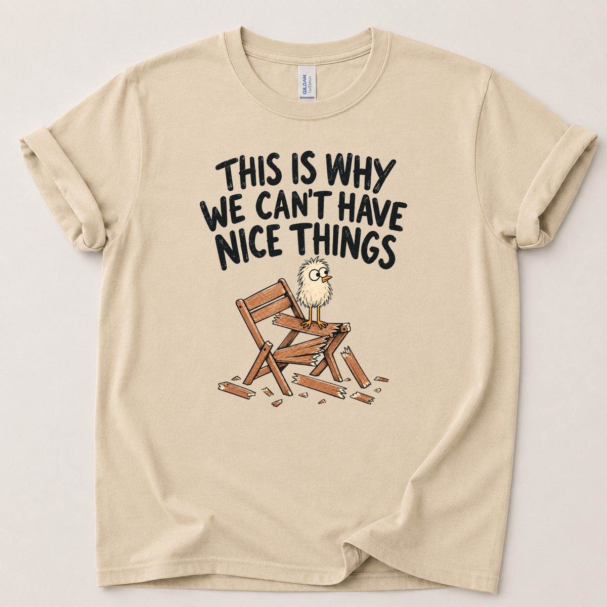 Can't have nice things T-Shirt