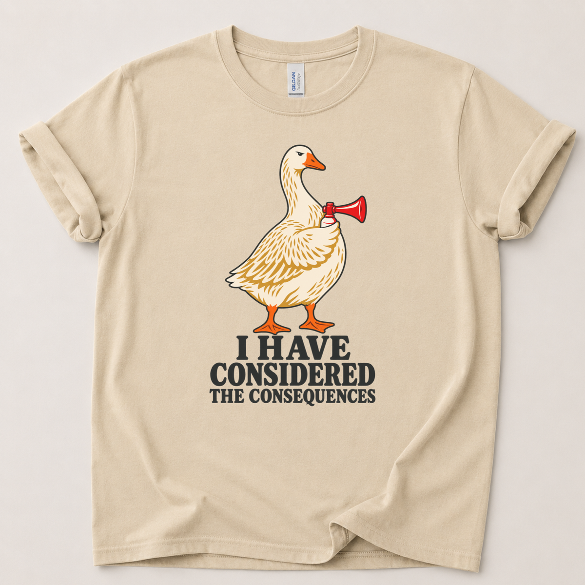 I have considered the consequences T-Shirt